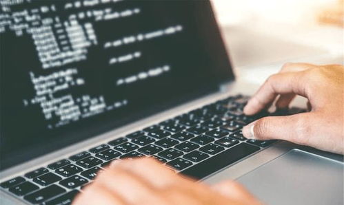 重点大学计算机专业学生，考研还是就业？